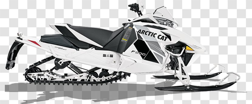 Arctic Cat Snowmobile Triple E Sales Car Motorcycle - Thundercat Transparent PNG