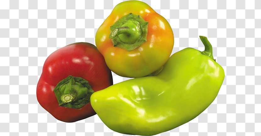 Chili Con Carne Bell Pepper Black - Peperoncini Transparent PNG