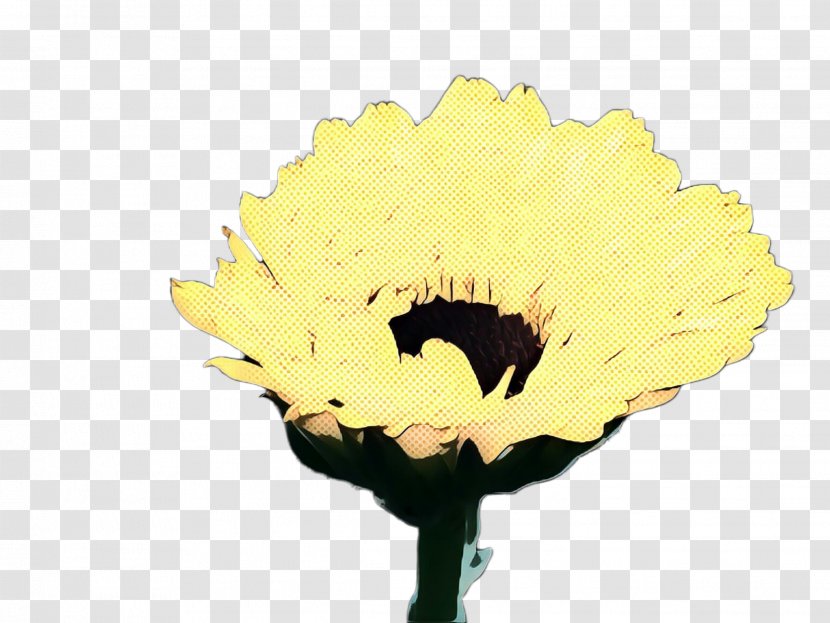 Family Tree Background - Plant - Poppy Wildflower Transparent PNG