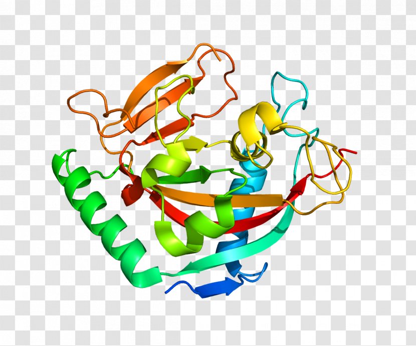 Protein Structure Gene - Heart - Silhouette Transparent PNG