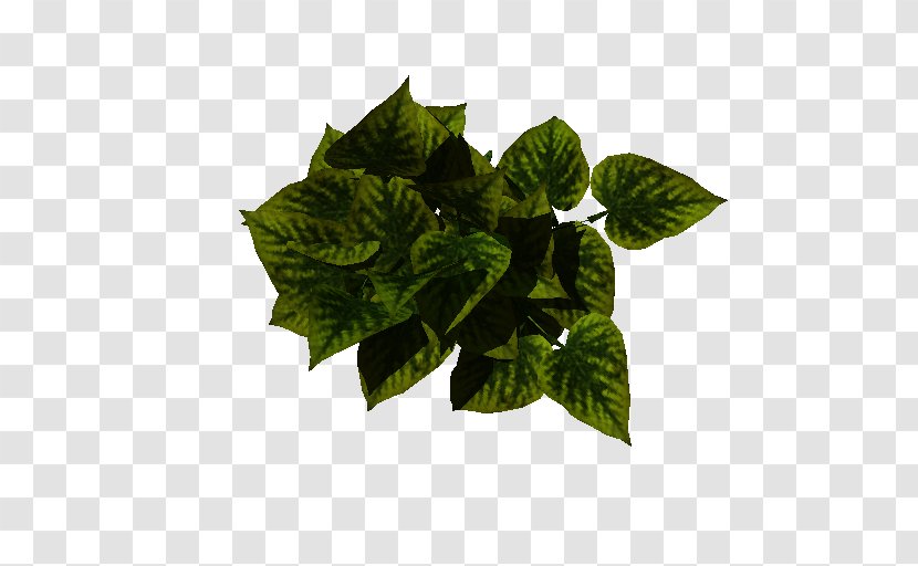 Leaf Herb Flowerpot Transparent PNG