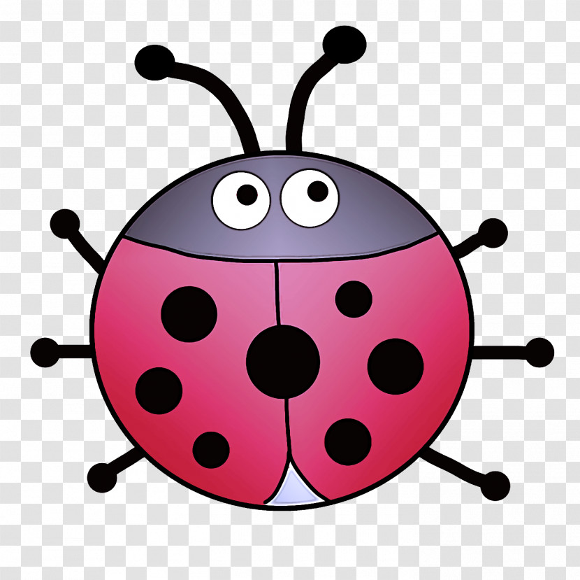 Ladybird Beetle Beetles Drawing Cartoon Ladybird Ladybird Transparent PNG