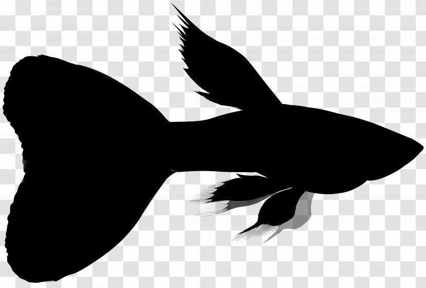 Beak Bird Clip Art Fauna Silhouette - Blackandwhite - Fish Transparent PNG