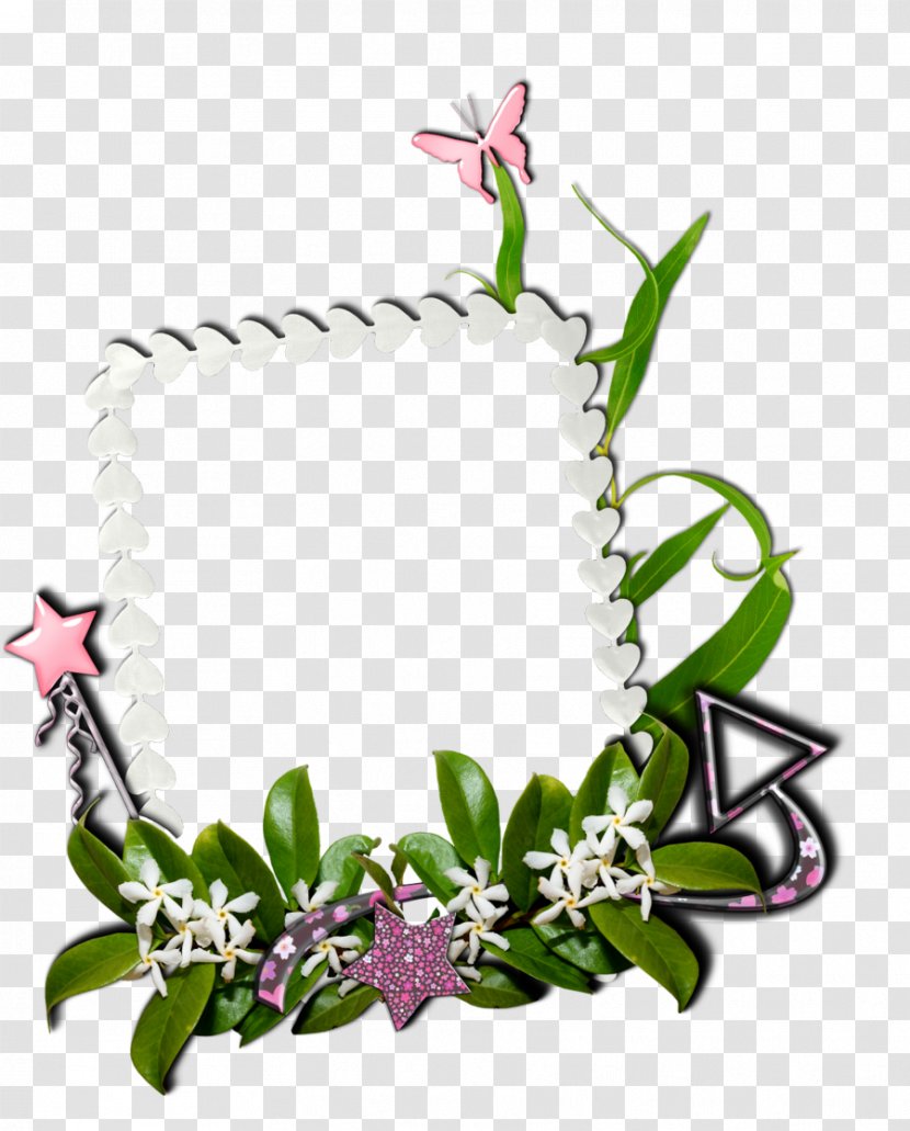 Idea Floral Design Mathematics Pinnwand - Picture Frame - Timetable-butterfly Transparent PNG
