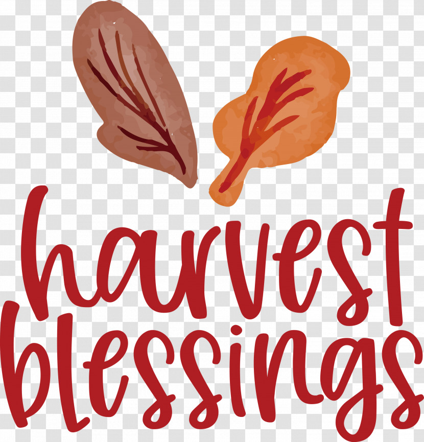 Harvest Autumn Thanksgiving Transparent PNG