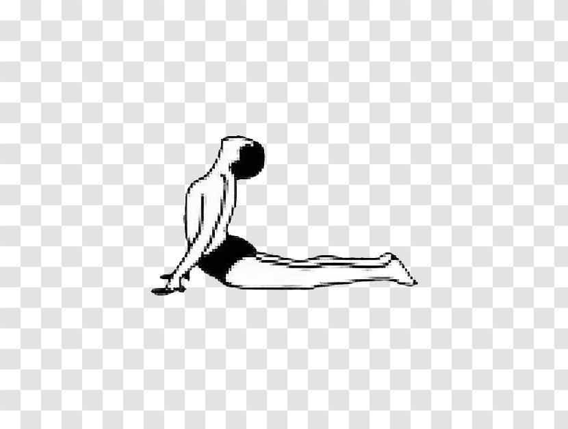 Bhujangasana Yoga Exercise Trikonasana - Heart Transparent PNG