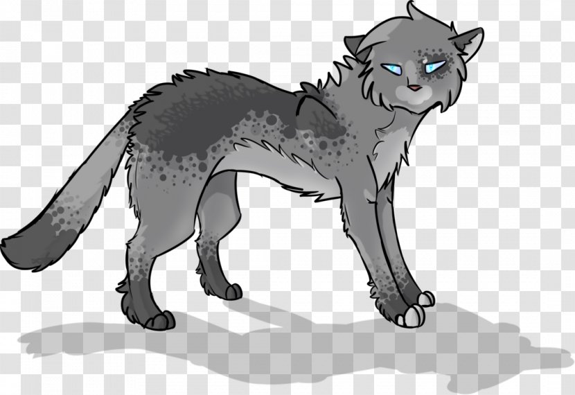 Whiskers Cat Red Fox Lion Wolf - Mammal Transparent PNG