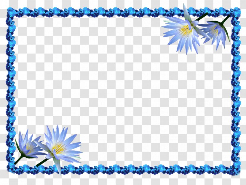 Picture Frames Photography Information - Flowering Plant Transparent PNG
