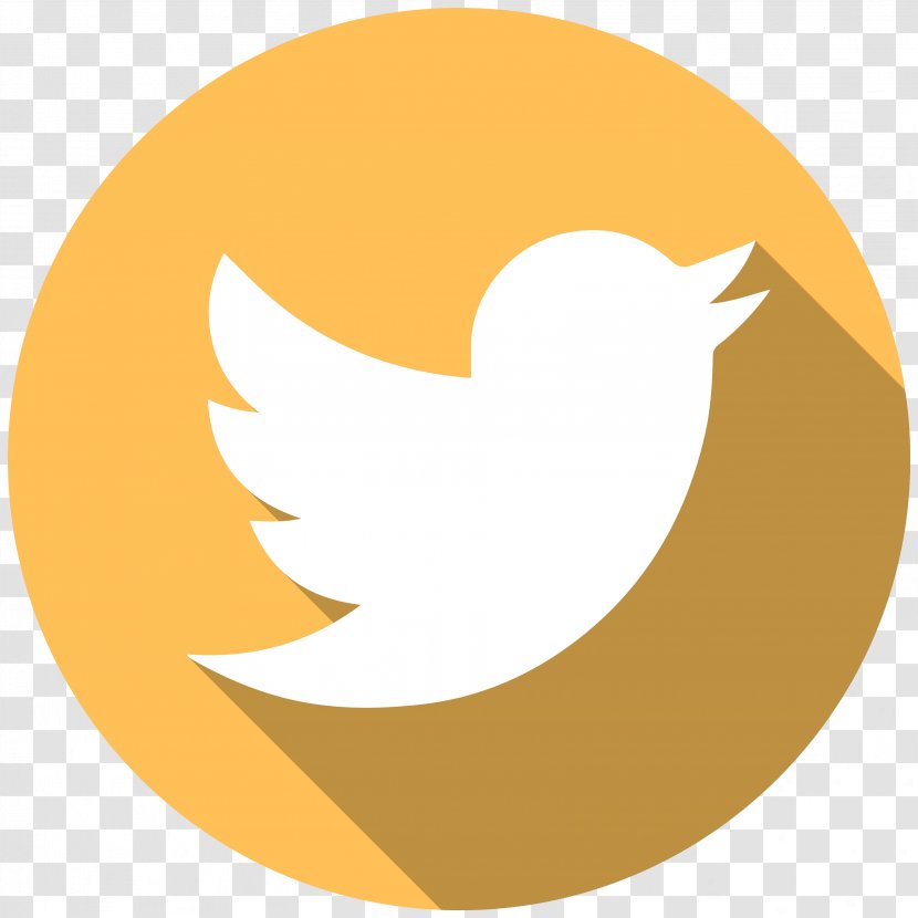 Social Media - Badoo - Twitter Transparent PNG