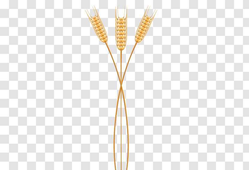 Grasses Commodity Family - Grass - Three Wheat Transparent PNG