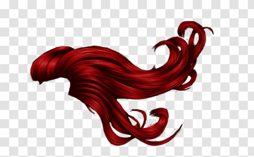 Red Hair Brown Auburn - Beard - Long Transparent PNG