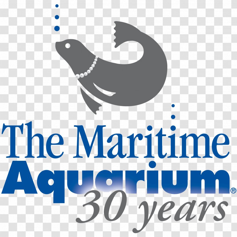 Maritime Aquarium At Norwalk Mystic & Institute For Exploration Stepping Stones Museum Children Shark - Blue Transparent PNG