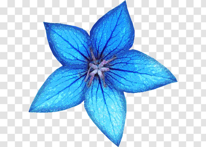 Blue Flower Bouquet White Image Transparent PNG