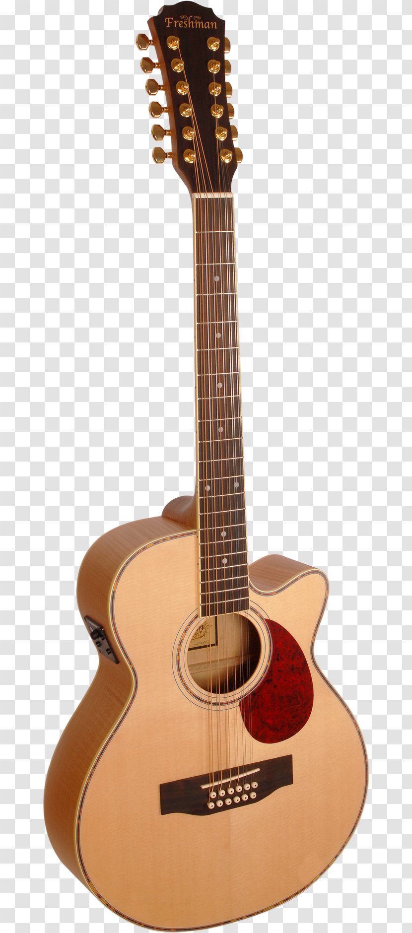 Twelve-string Guitar Takamine Guitars Dreadnought Cutaway Acoustic - Silhouette Transparent PNG