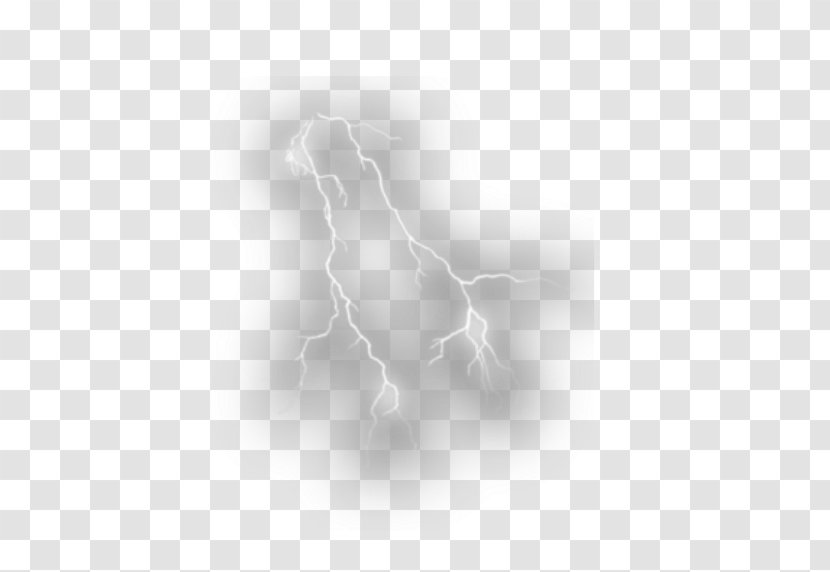 Canidae Drawing Dog White Desktop Wallpaper - Like Mammal Transparent PNG