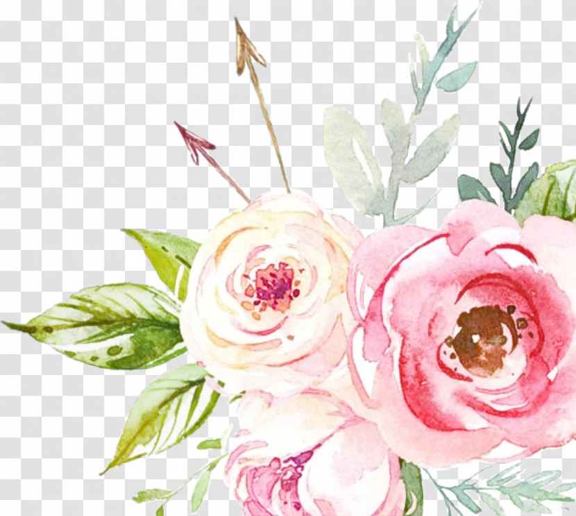 Garden Roses Transparent PNG