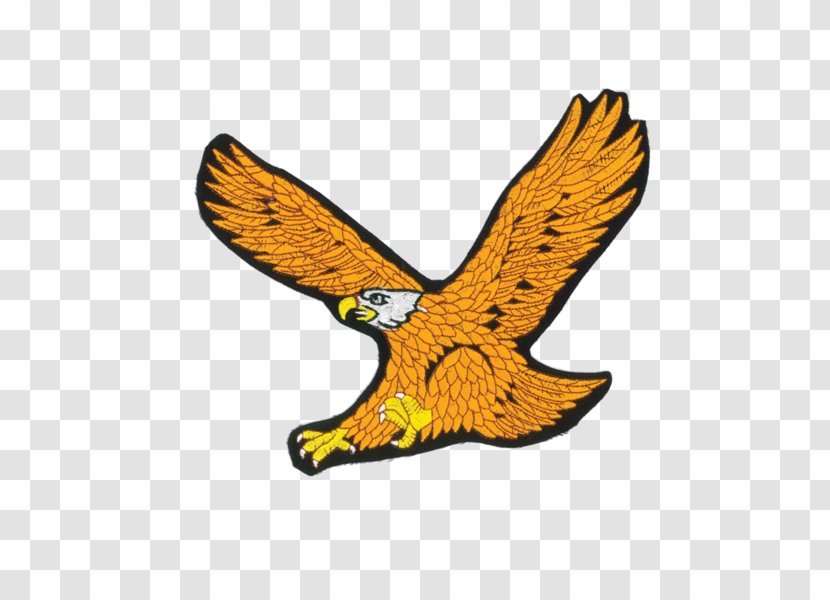 Gold Logo - Falconiformes - Animal Figure Wildlife Transparent PNG