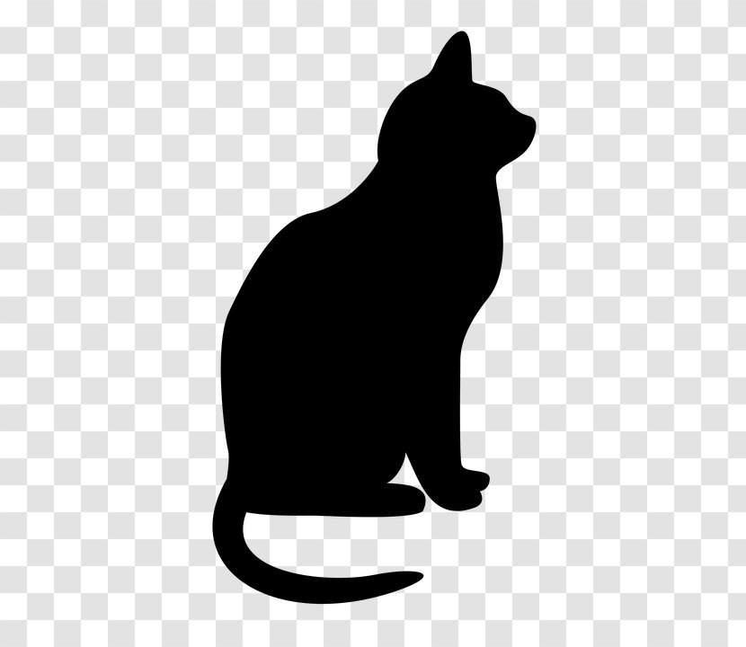 Black Cat Small To Medium-sized Cats Silhouette Black-and-white - Mediumsized - Snout Tail Transparent PNG