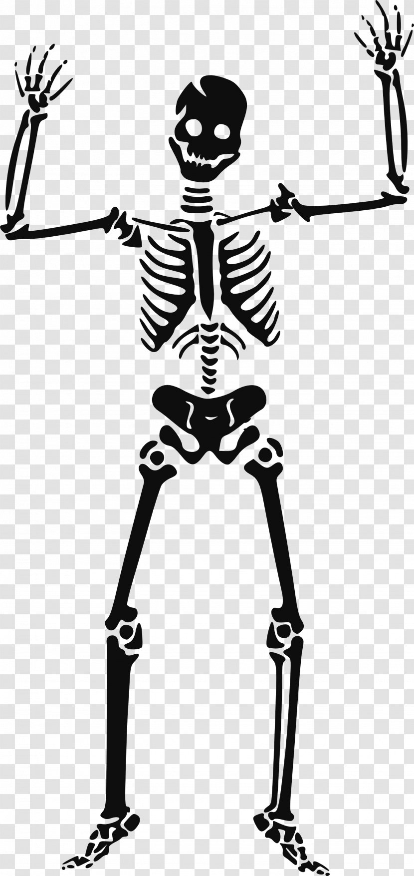 Human Skeleton Clip Art - Monochrome - Siluet Image Transparent PNG