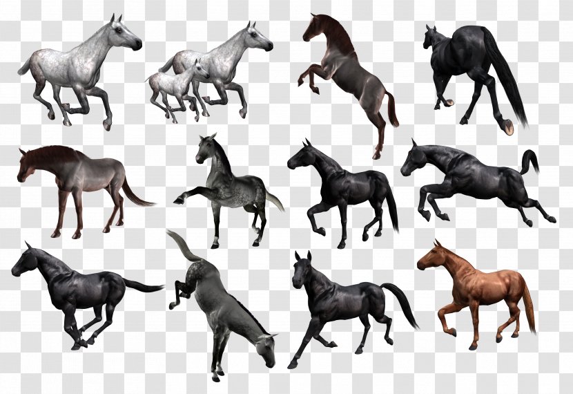 Mustang Horses Clip Art - Horse Tack - Herd Of Transparent PNG