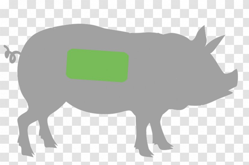 Domestic Pig Ham Barbecue Primal Cut Of Pork - Butcher - Spareribs Clipart Transparent PNG
