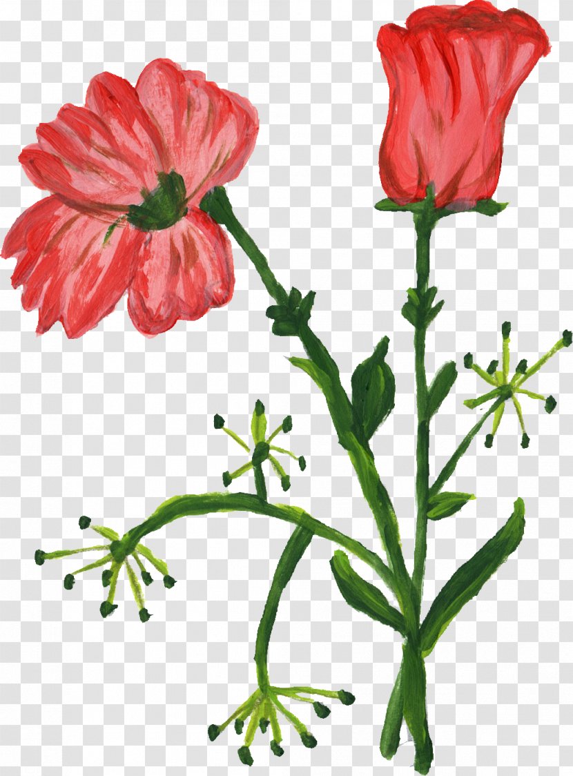 Watercolour Flowers Cut Painting - Herbaceous Plant - Flower Paint Transparent PNG