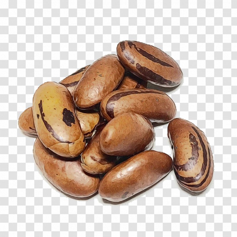 Food Bean Plant Nut Ingredient - Nuts Seeds Transparent PNG