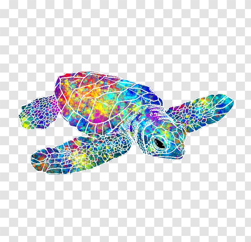 Green Sea Turtle Towel Color Transparent PNG
