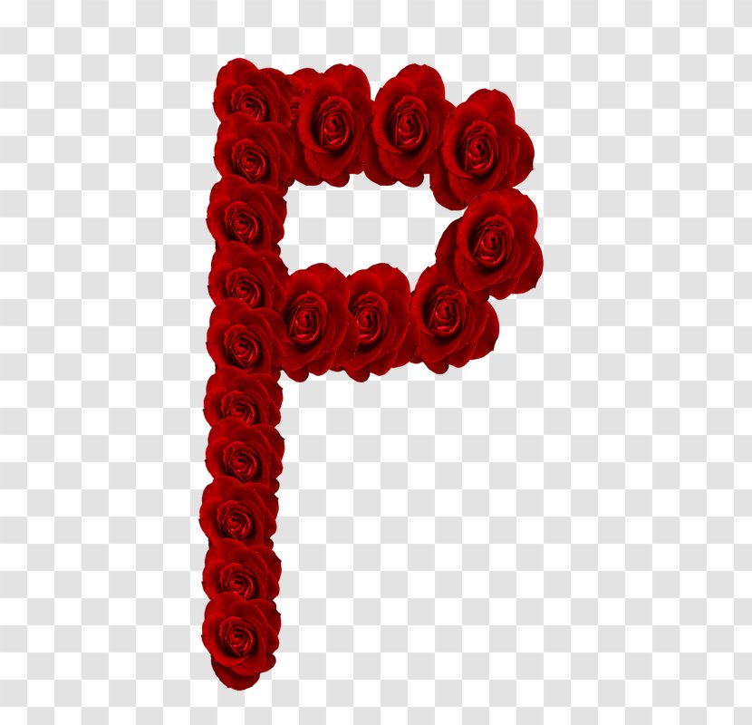 Garden Roses Letter Alphabet - Rose Family Transparent PNG