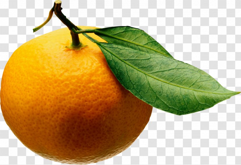 Juice Tangerine Mandarin Orange Clementine Fruit Salad Transparent PNG