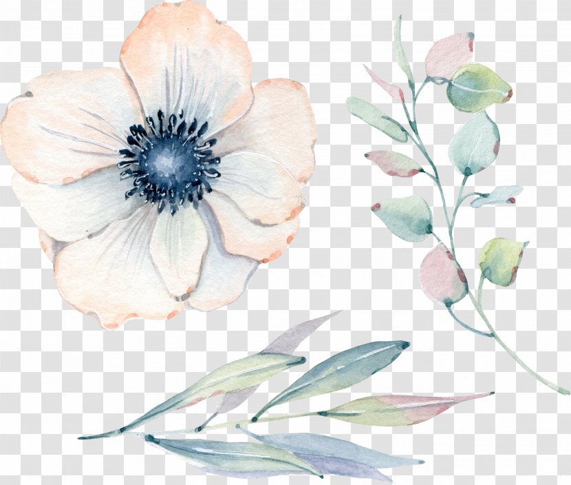 Watercolor: Flowers Watercolor Painting Floral Design Illustration Greeting & Note Cards - Botanical - Birthday Transparent PNG