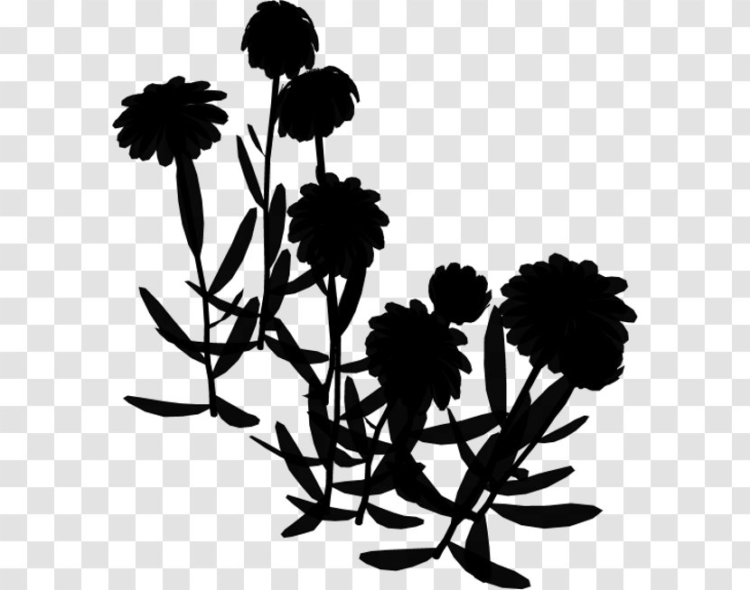 Chrysanthemum Floral Design Leaf Plant Stem - Blackandwhite Transparent PNG