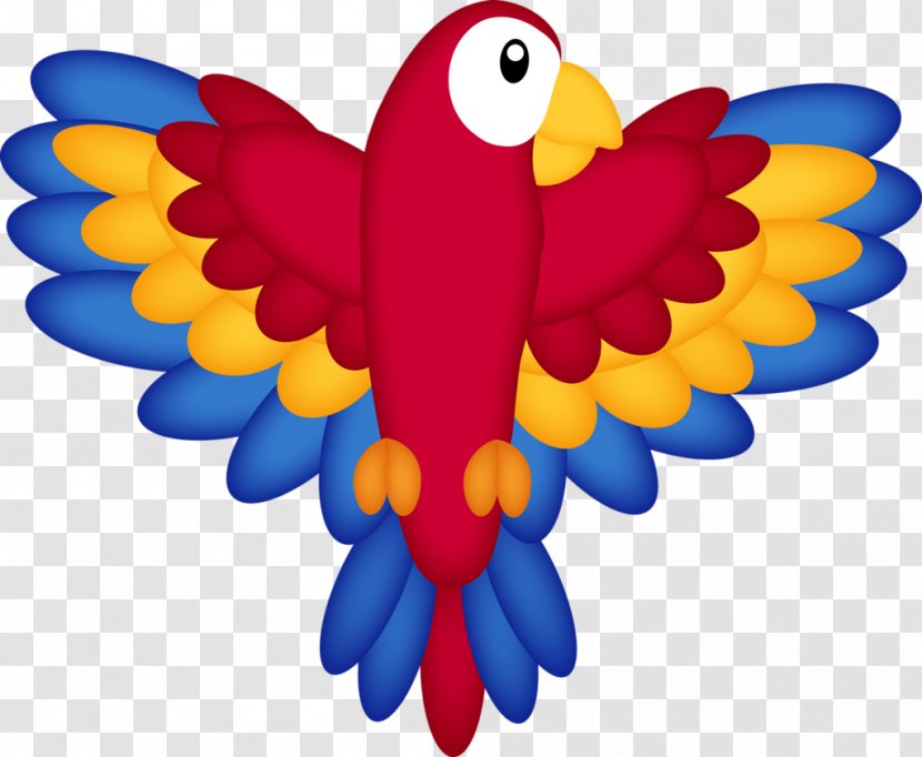 Macaw Clip Art - Moths And Butterflies - Pirate Parrot Transparent PNG