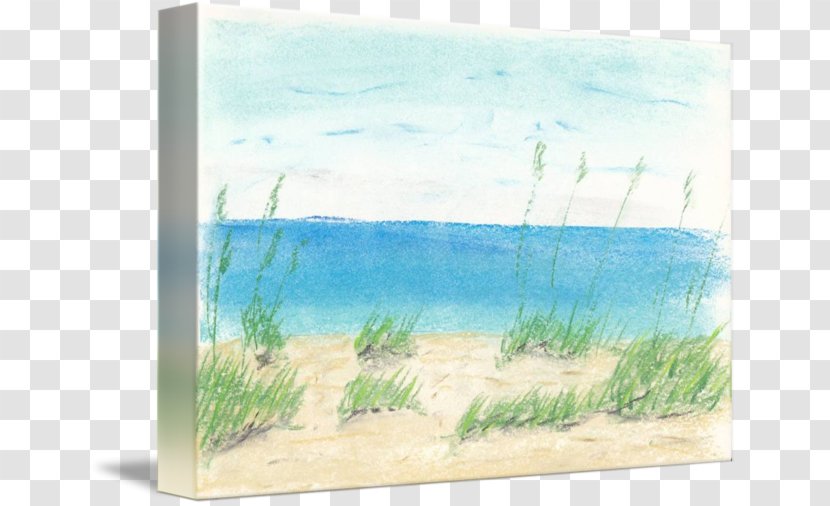 Watercolor Painting Acrylic Paint Picture Frames - Grass Family - Sand Dunes Transparent PNG