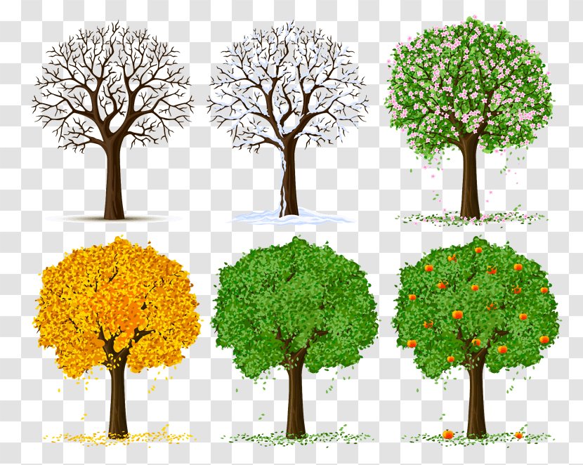 Vector Graphics Illustration Drawing Clip Art Tree - Grass - Seasons Transparent PNG