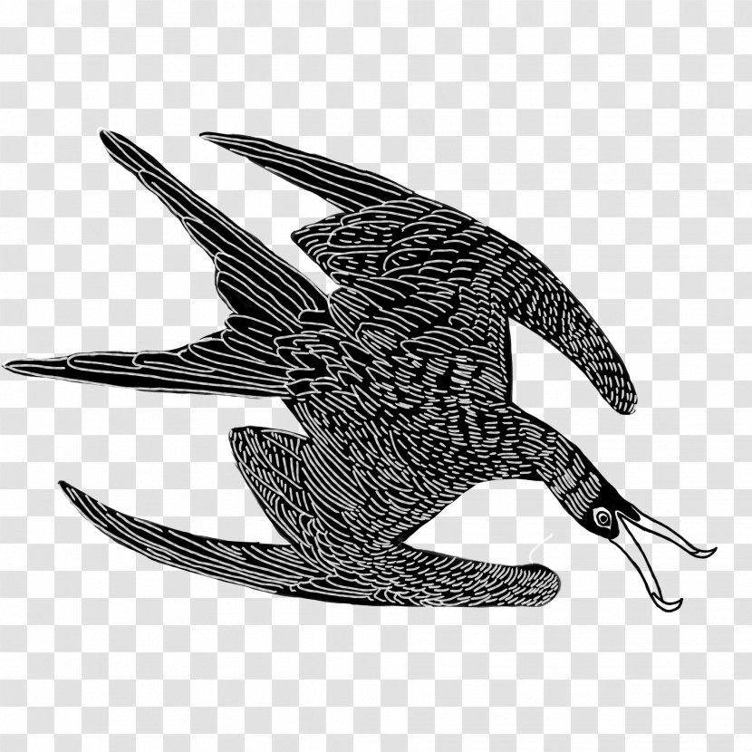 Bird Peregrine Falcon Wing Claw Logo - Perching European Swallow Transparent PNG