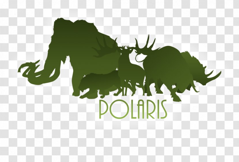 Logo Leaf Desktop Wallpaper Brand Font - Grass - Polaris Transparent PNG
