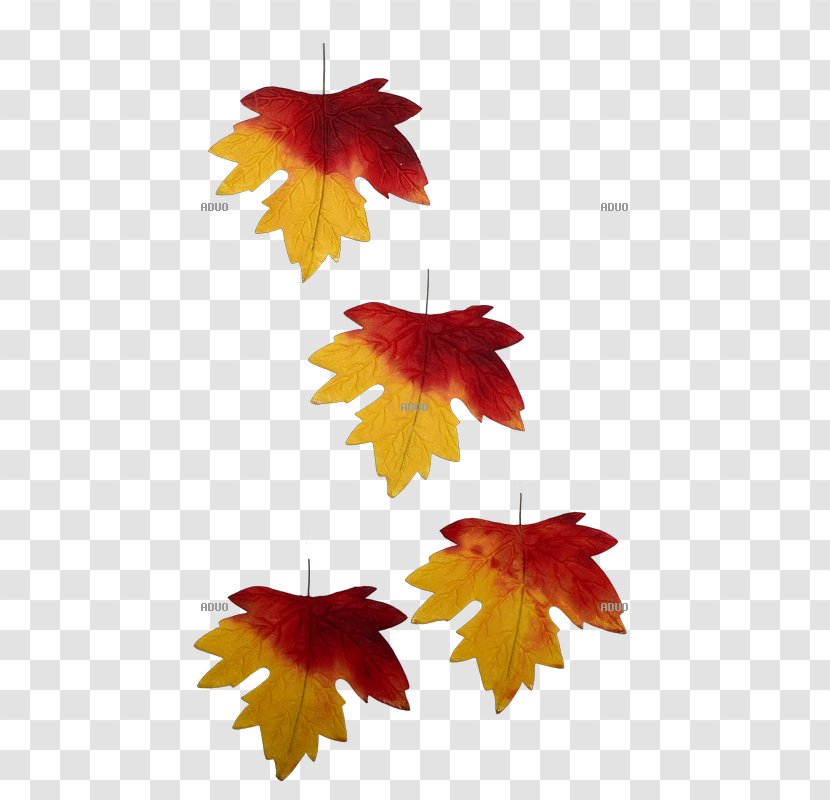 Autumn Leaf Color Petal Tendril - Brt Spa - Deko Transparent PNG