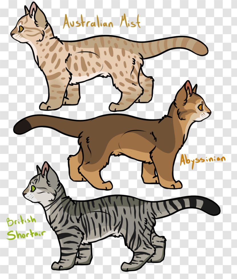 Whiskers Wildcat Domestic Short-haired Cat Canidae - Paw Transparent PNG