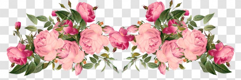 Borders And Frames Clip Art Floral Design Flower - Garden Roses Transparent PNG