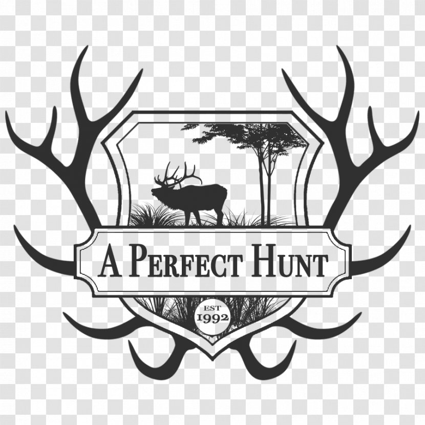 Elk White-tailed Deer Moose Antler - Mule - Hunting Transparent PNG