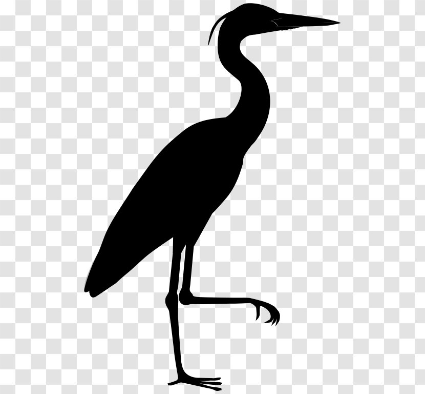 Cork City Low Cost Counselling Psychotherapist New Jersey Meditation Qi - Egret - Great Heron Transparent PNG