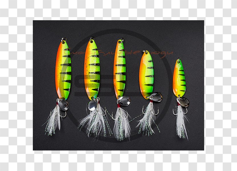 Spoon Lure - Bait - Fishing Transparent PNG