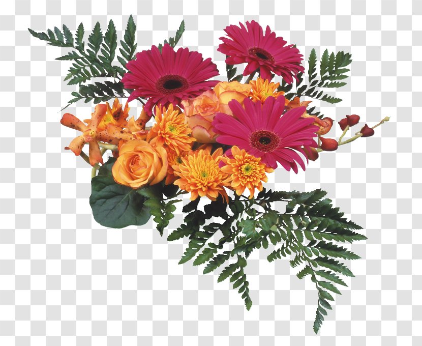 Floral Flower Background - Chrysanthemum - Perennial Plant Annual Transparent PNG