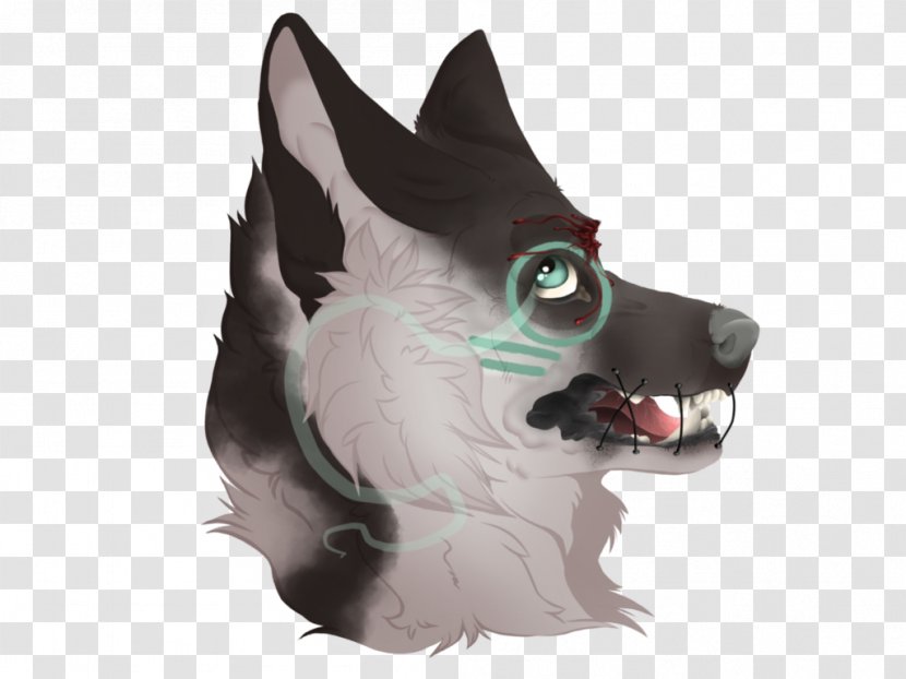 Canidae Dog Snout Mammal - Like Transparent PNG