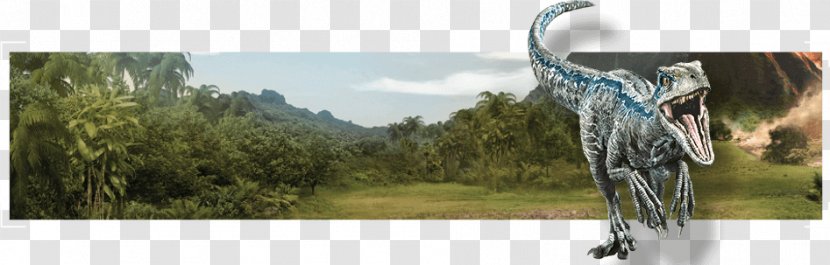 Universal Pictures Jurassic Park Amblin Entertainment Velociraptor Doritos - World Fallen Kingdom - World: Transparent PNG
