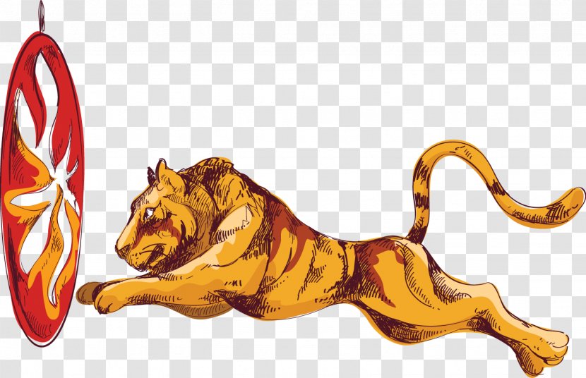 Tiger Lion Circus Illustration - Carnivoran - Vector Painted Jump Through Hoops Transparent PNG