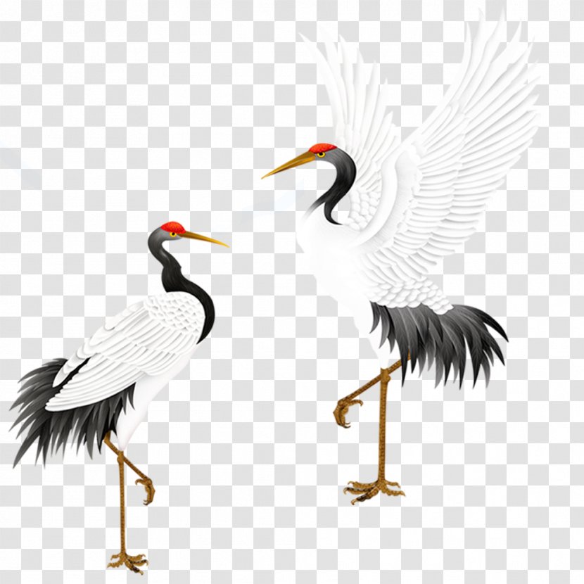 Red-crowned Crane Bird Grey Crowned - Like - White Transparent PNG