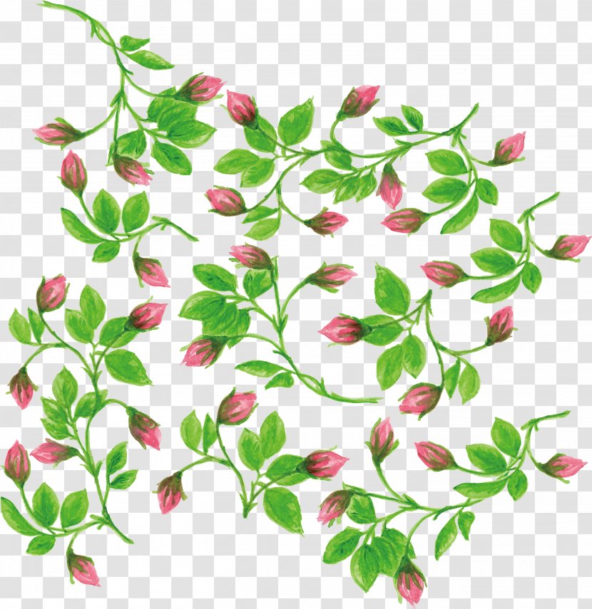 Watercolor Painting Flower - Flowering Plant - Water Color Romantic Vine Transparent PNG