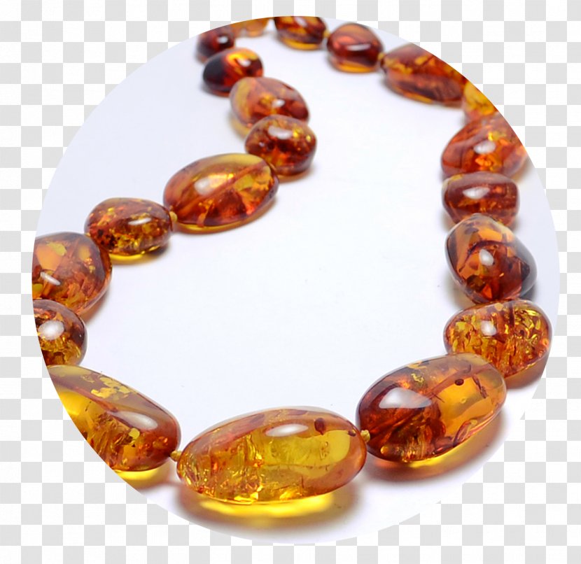 Baltic Amber Necklace Jewellery Gold - Bracelet Transparent PNG